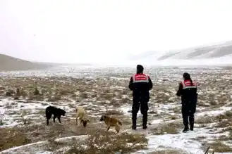 Aksaray Jandarması Kışın Hayvanları Unutmadı!
