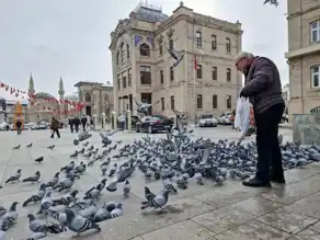 Kış Soğunda Kuşlara Sıcak Bir El