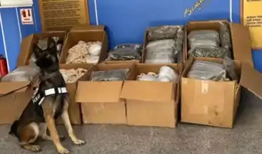 Aksaray'da Dev Uyuşturucu Operasyonu: 110 Kilo Skunk!