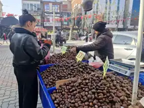 Kestane Satışları Şehrin Kalbinde Patladı!