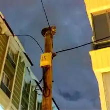 Aksaray'da Direğe Tırmanan Kedi Kurtarıldı!