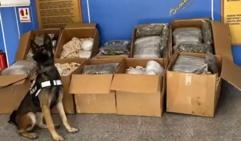 Aksaray'da Dev Uyuşturucu Operasyonu: 110 Kilo Skunk!