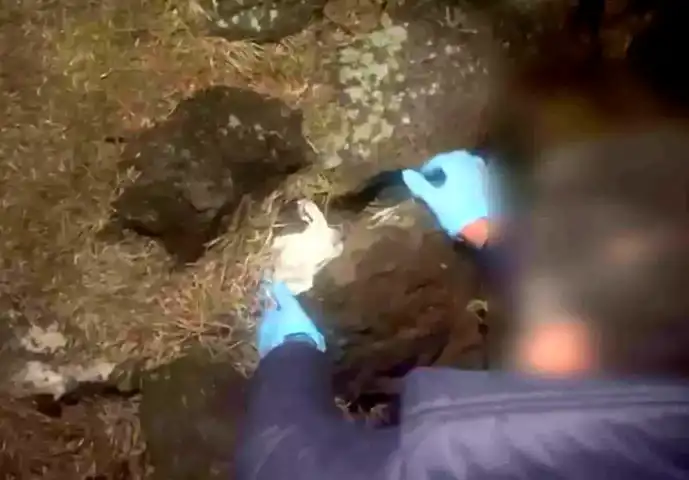 Aksaray'da Uyuşturucu Operasyonu: 167 Hap ve Tutuklama